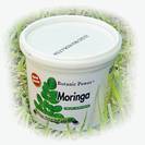 מורינגה - MORINGA OLEIFERA - לכאבים ודלקות מפרקים, הסדרת פעילות בלוטת התריס ועוד | אבקה 100 גרם