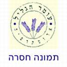 שמן מרוקאי לשיער - מחזיר ברק לשיער יבש ופגוע
