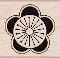 FLOWER  CIRCLE
