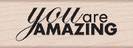 YOU  ARE  AMAZING