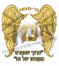 "ברוך שפטרנו מעונשו של זה"